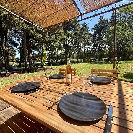 Maisonnette Avec Petite Foret Valréas エクステリア 写真